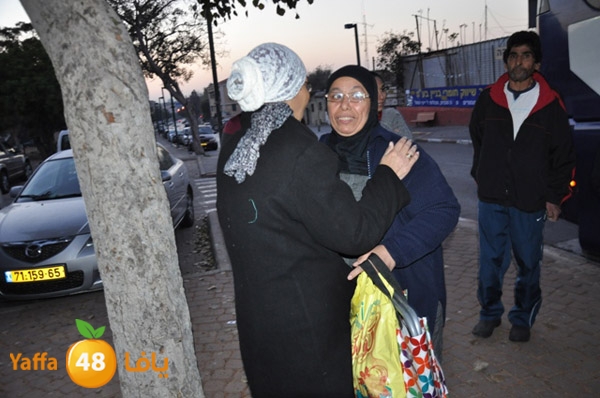 3omrayaffaplane321 (17).JPG